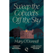 Sweep the Cobwebs Off the Sky
