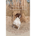 Bird Dog Days, Wingshooting Ways: Archibald Rutledge's Tales of Upland Hunting