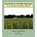 Searching for the Wild Asparagus: 23 (or 22) Acres in Newbury, Vermont