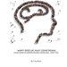 What Goes Up, Must Come Down...A Kid's Guide To Understanding Addiction-Part Two