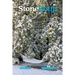 Stone Soup Magazine: December 2021