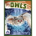 Owls