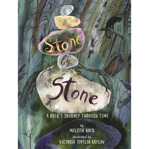 Stone by Stone: A Rock's Journey Through Time