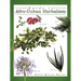 Guide to Afro-Cuban Herbalism