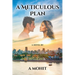 A Meticulous Plan