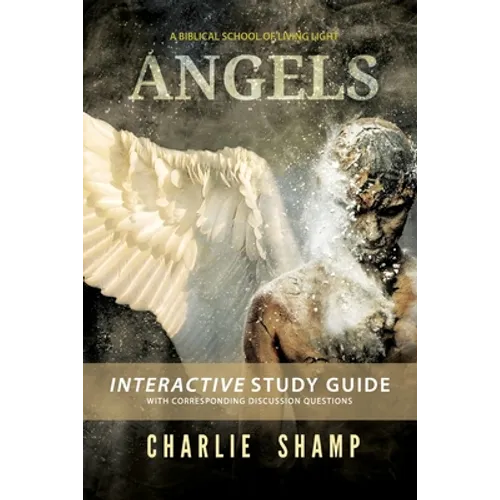 Angels Workbook: A Biblical School of Living Light