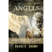 Angels Workbook: A Biblical School of Living Light