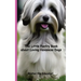 The Little Poetry Book about Loving Havanese Dogs