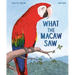 What the Macaw Saw