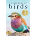 Picture Book of Birds