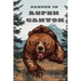 Danger In Aspen Canyon