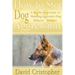 How to Stop Dog Aggression: A Step-By-Step Guide to Handling Aggressive Dog Behavior Problem