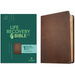 NLT Life Recovery Bible, Second Edition (Leatherlike, Rustic Brown)