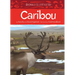 Animals Illustrated: Caribou