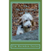 The Meanderings of Bing: A gentle, humorous look at life, snooker, whizzers and other great philosophical mysteries through the meanderings of Bing, a