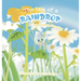 The tale of a raindrop