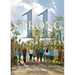 11 Strong: Adventures in Faith and Adoption