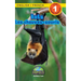 Bats / Les chauves-souris: Bilingual (English / French) (Anglais / Français) Animals That Make a Difference! (Engaging Readers, Level 1)