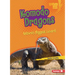 Komodo Dragons: Nature's Biggest Lizard