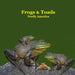 Frogs and Toads of North America Kids Book: Great Children's Book about the types of North American Frogs and Toads