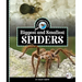 Biggest and Smallest Spiders