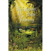 Nicodemus a Fluke Journey