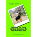 100 Ideas For Great Outdoor Vacations To Take With Your Dog