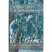 Seeing Trees: A Poetic Arboretum