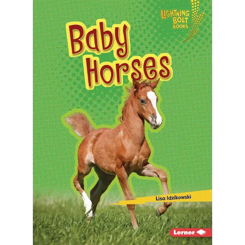Baby Horses