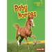 Baby Horses