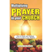Multiplying Prayer in your Church: How to Start and Multiply Prayer to Back your Ministry