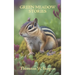 Green Meadow Stories