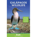 Galapagos Wildlife