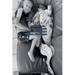 REBLL-A Manifesto for Dog Owners Who Want More Than Obedience