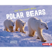 On the Hunt with Polar Bears