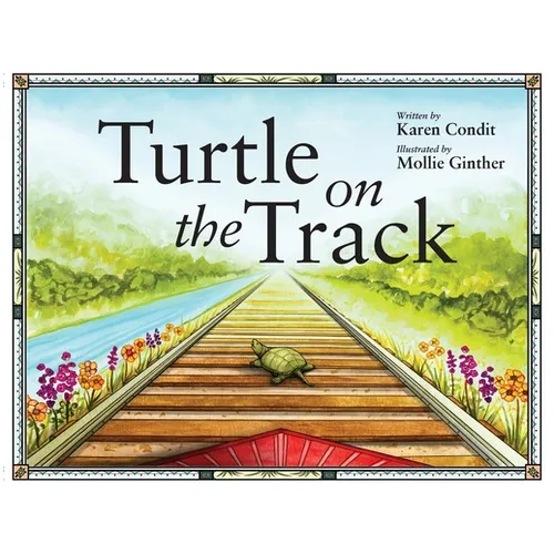 Turtle on the Track
