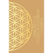 Universal Consciousness Journal