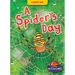 A Spider's Day