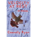 Velocity at Rest: 99 Poems