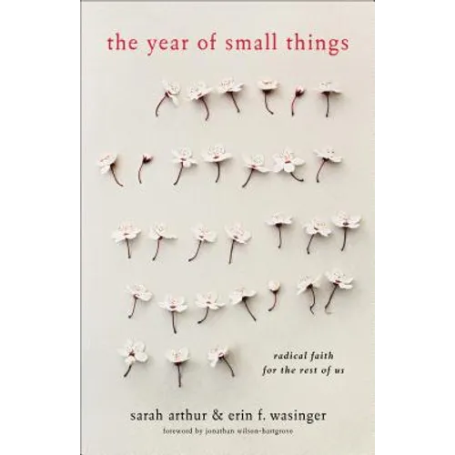 The Year of Small Things: Radical Faith for the Rest of Us