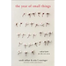 The Year of Small Things: Radical Faith for the Rest of Us