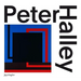 Peter Halley: Paintings of the 1980s: The Catalogue Raisonné