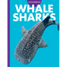 Curious about Whale Sharks