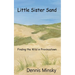 Little Sister Sand: Finding the Wild in Provincetown