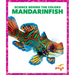 Mandarinfish