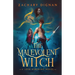 The Malevolent Witch: A Josh Kershing Novel