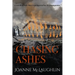 Chasing Ashes
