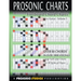 Fretboard Chord Charts for Guitar - Volume 1