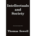 Intellectuals and Society