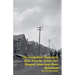 The Forgotten Massacre: How East St. Louis 1917 Shaped American Race Relations